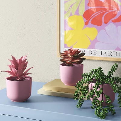 3pk 9.06" Succulent Artificial Plants Pink - Room Essentials™ 6 3pk 9.06" Succulent Artificial Plants Pink - Room Essentials™ -Room Essentials GUEST 00ef684a 5131 4e6a b887 925926f395dc