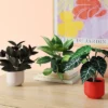 3pk 11.42" Pothos Artificial Plants - Room Essentials™ 1 3pk 11.42" Pothos Artificial Plants - Room Essentials™ -Room Essentials GUEST 2acb68c8 fc4d 48bf b120 32a2e00b42d3