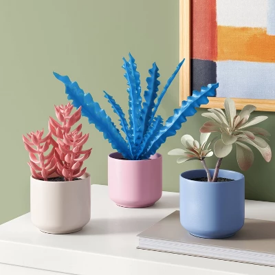 3pk 8.86" Succulent Artificial Plants Multicolor - Room Essentials™ 1 3pk 8.86" Succulent Artificial Plants Multicolor - Room Essentials™ -Room Essentials GUEST 2e885e3e c0ac 4e0d 877f ef2c6841e00e