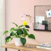 Pothos Artificial Plant In White Pot - Room Essentials™