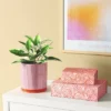 2pk Magnetic Lidded Decorative Boxes Pink - Room Essentials™ 1 2pk Magnetic Lidded Decorative Boxes Pink - Room Essentials™ -Room Essentials GUEST 3b603096 bf95 4500 83fb e4d76ca08cf6