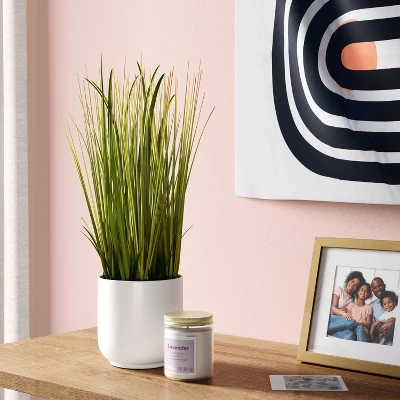 Grass Potted Artificial Plant - Room Essentials™ 5 Grass Potted Artificial Plant - Room Essentials™ -Room Essentials GUEST 3fcd3608 2e6d 44fa be71 67b594f1de03