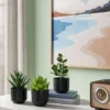 Succulent Artificial In Black Pot - Room Essentials™ -Room Essentials GUEST 4ac99444 ec3d 45f7 b016 441bb078726c
