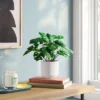 4.6"x7.2" Monstera Artificial Plant - Room Essentials™ -Room Essentials GUEST 5c2c6452 3a10 438d a559 ecebfb12c328