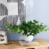 Pothos Potted Artificial Plant - Room Essentials™ -Room Essentials GUEST 684f0109 2c25 4203 a0c1 6c5f0e60a5a1
