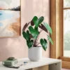 Dasheen Leaf Potted Artificial Plant - Room Essentials™ -Room Essentials GUEST c568dc60 ad99 4c1d acb8 d9ddc9286ee0