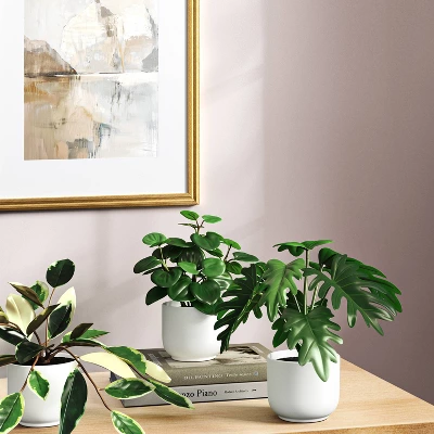 Core Plant Multipack In White Pot - Room Essentials™ 2 Core Plant Multipack In White Pot - Room Essentials™ -Room Essentials GUEST ef9d46f7 5a2e 490d aa4b 7742ab865b90